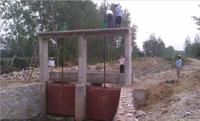 31�����T�F�l�T�����ݗU���]�C